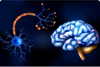 CNS - Drug Discovery Glance