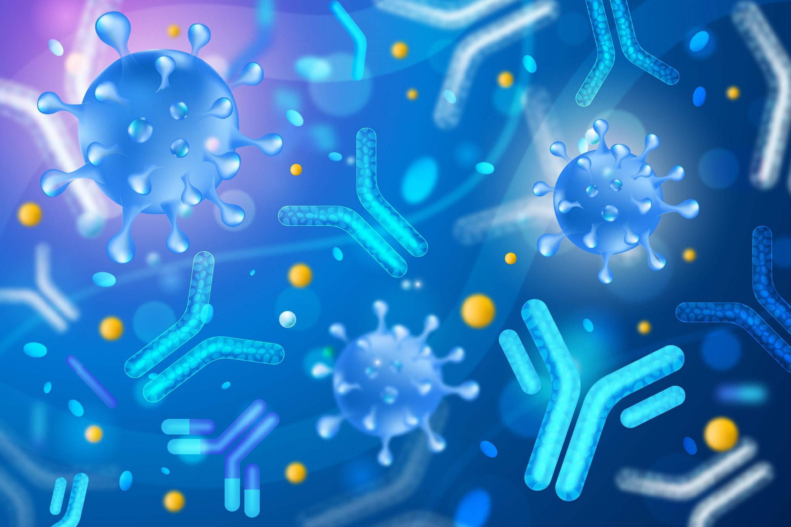 Beyond Binding and Cytotoxicity: Integrated In Vitro Assays for ADC Development
